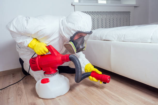 Professional Pest control in Momence, IL